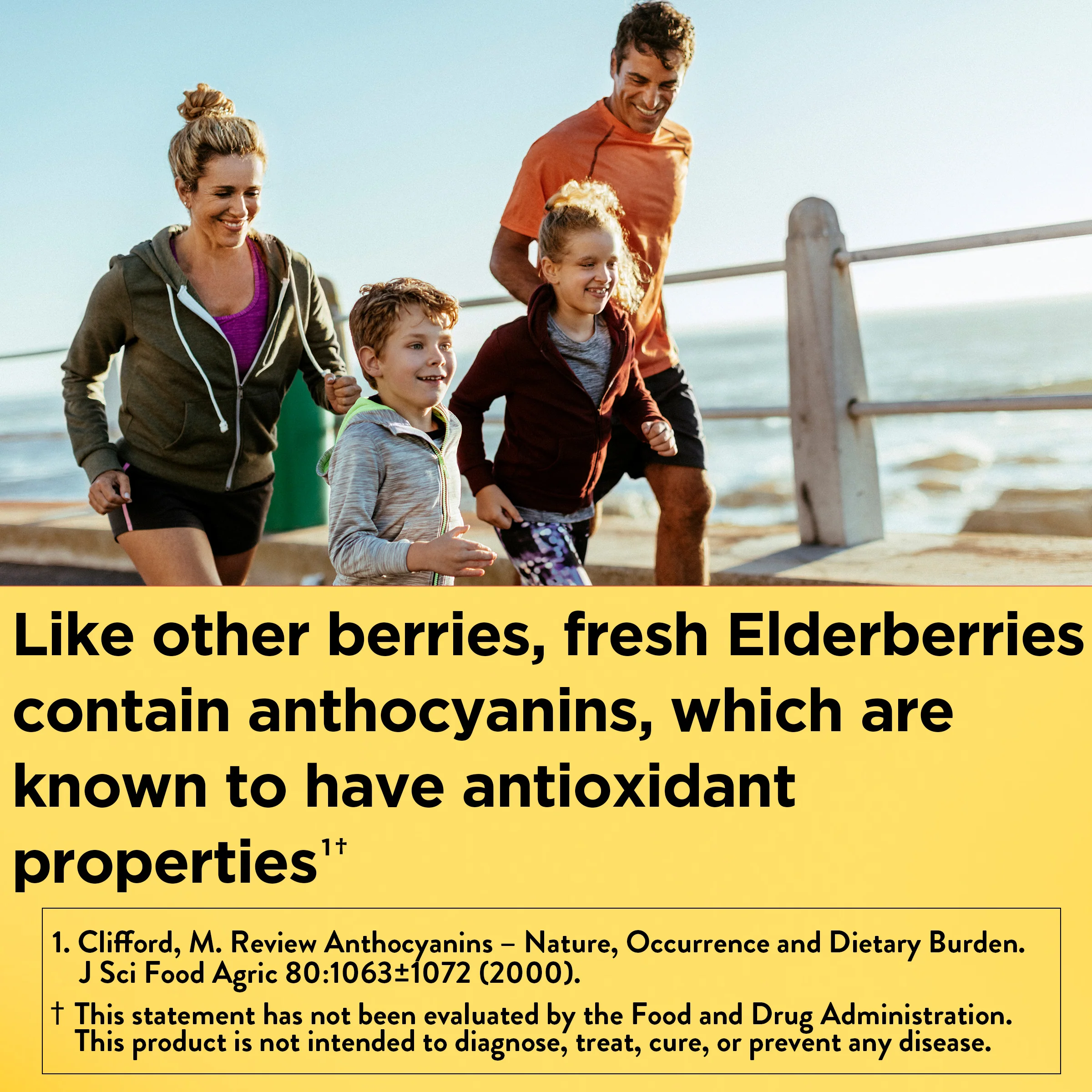 100 mg Elderberry Gummies with Vitamin C & Zinc - Image 7